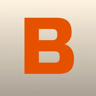 Bazar.bz, магазин одежды, лого-визитка