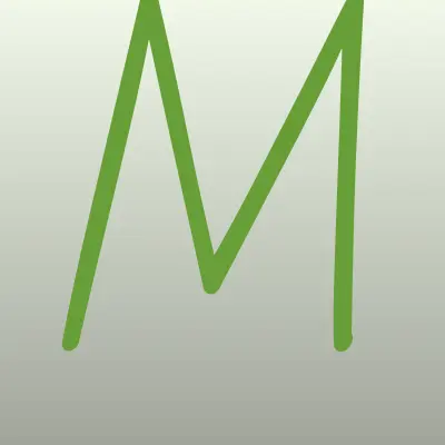 MagZip.ru, торгово-сервисная компания, лого-визитка